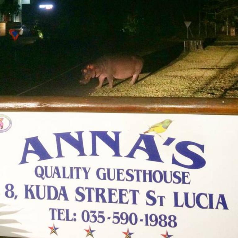 Annas Bed And Breakfast St Lucia Luaran gambar